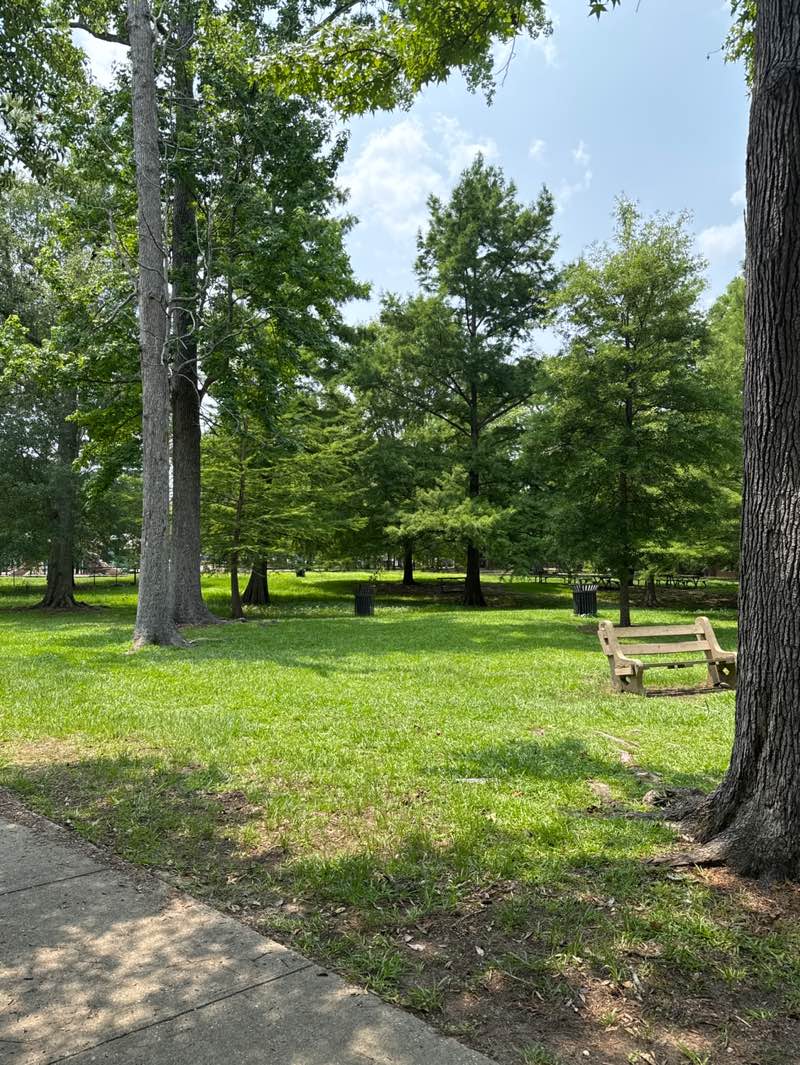 walking near me in Kamper Park in summer