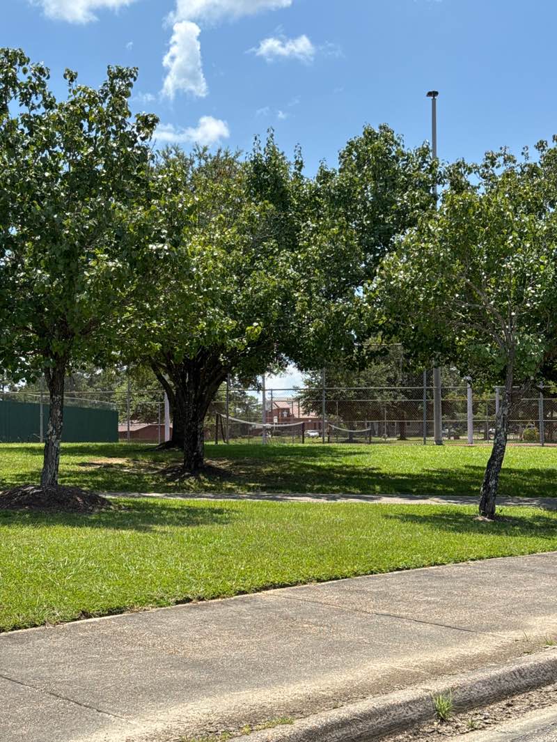 walking near me in Vernon Dahmer Park in summer