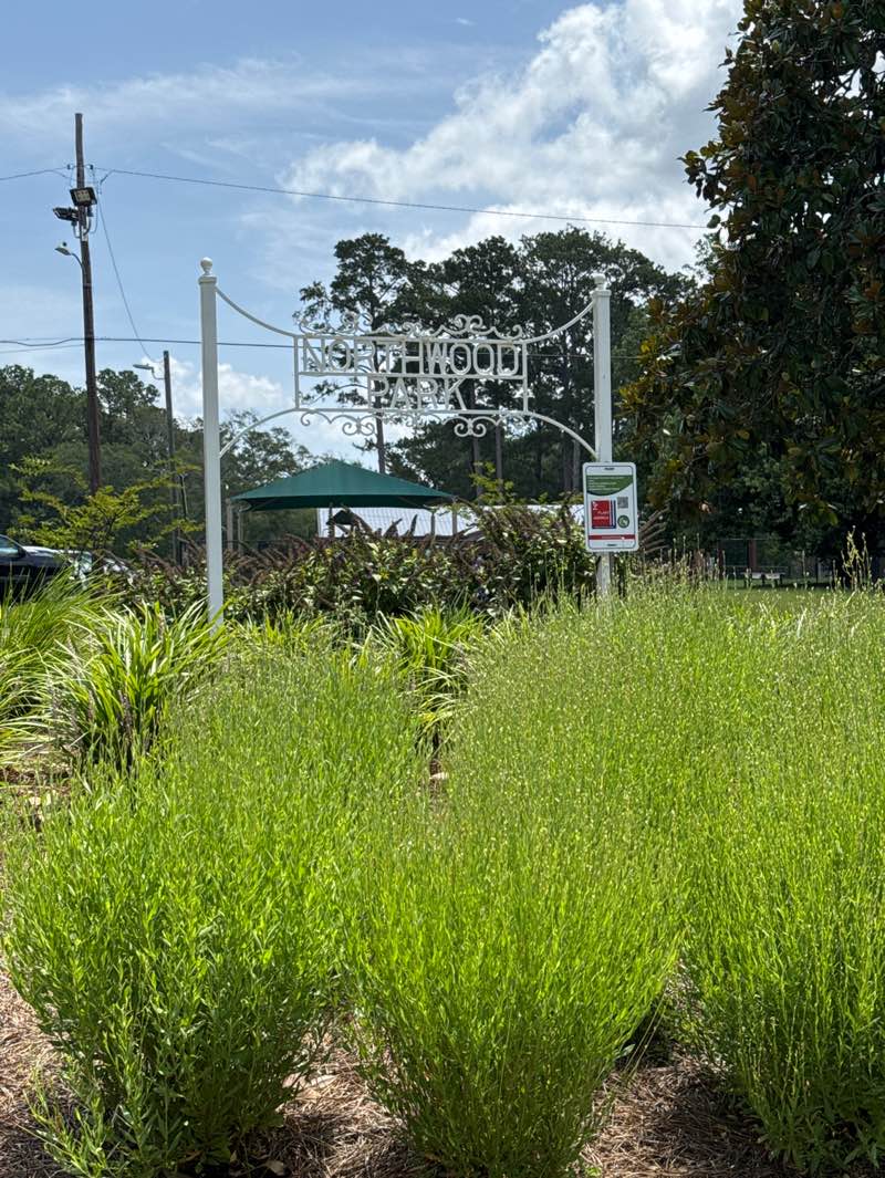 walking near me in Northwood Park in summer