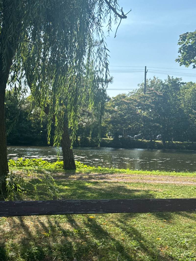 walking near me in Edward W. Cahill Memorial Park in autumn
