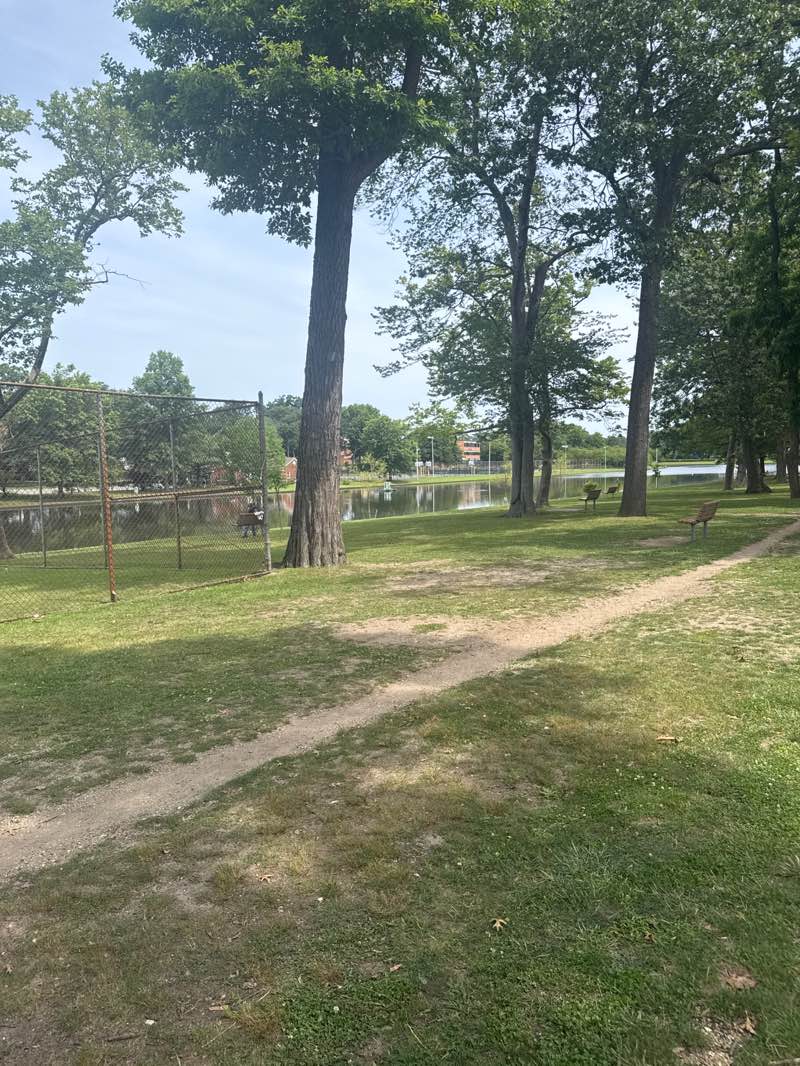 walking near me in Arthur J Hendrickson Park in summer