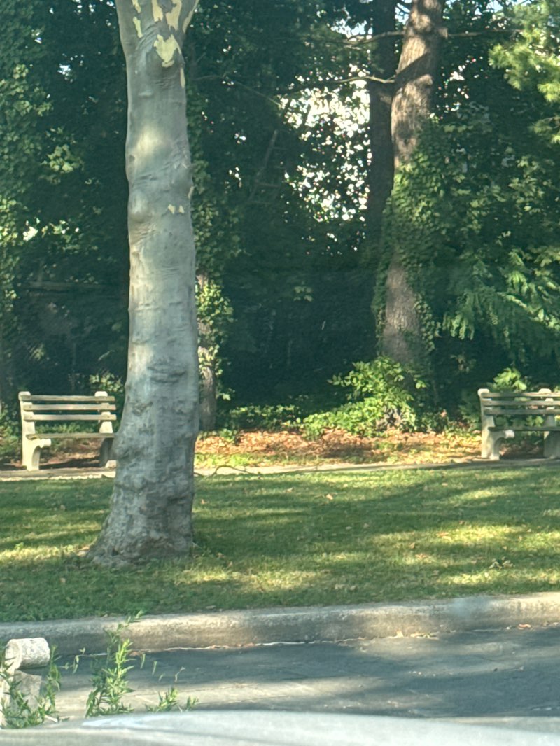 walking near me in Elmont Road Park in autumn