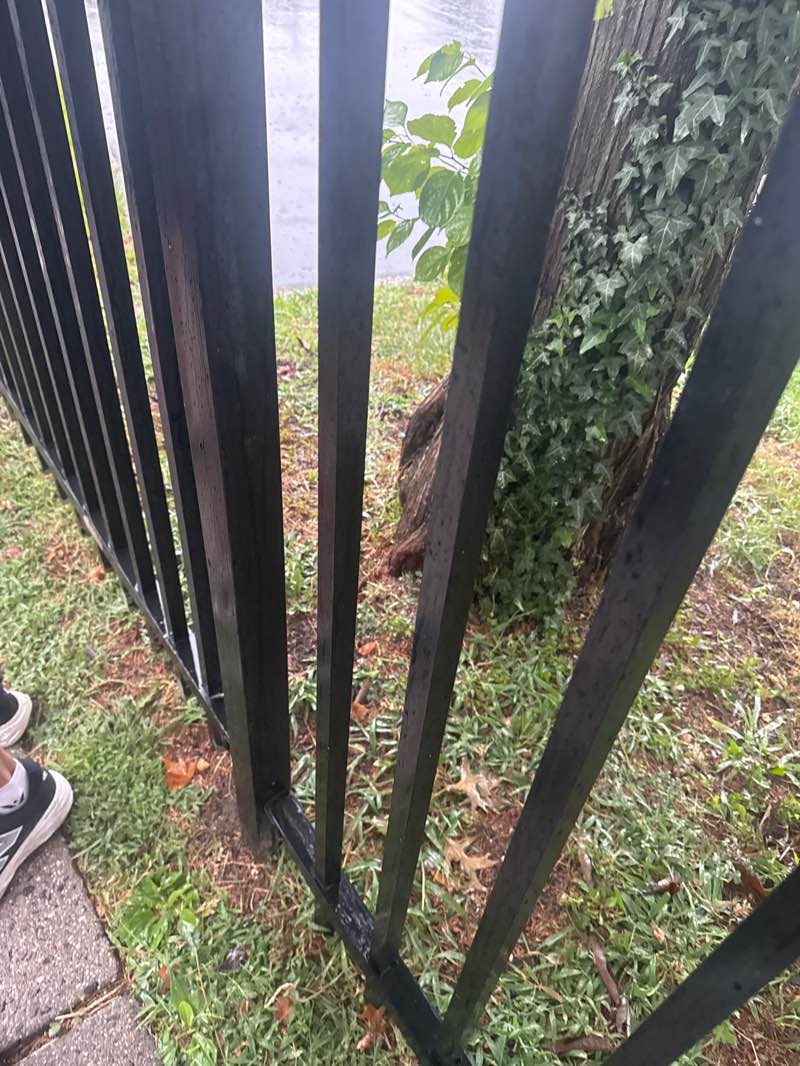 walking near me in Clinton J Martin Park in autumn