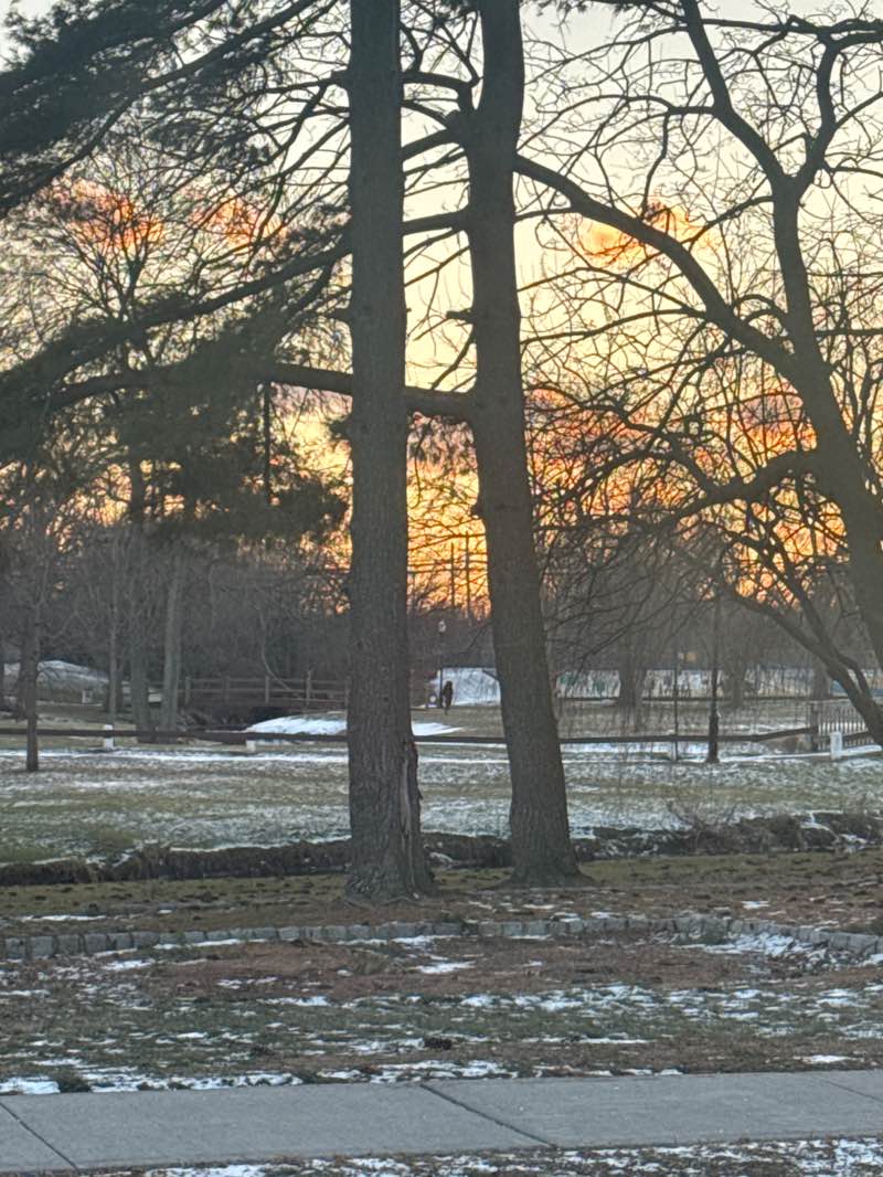 walking near me in Village Green Park in winter