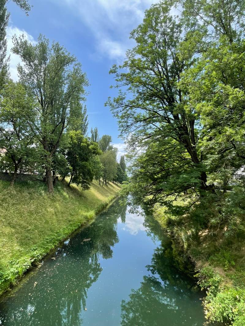 walking near me in Europagarten in winter