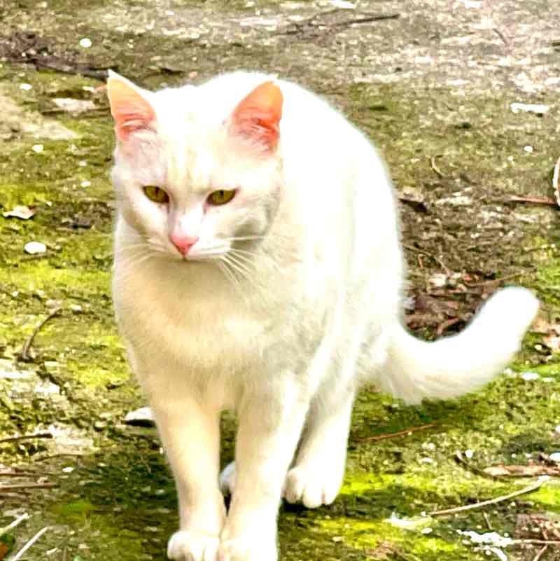 Monica💥 Trieste FVG Italy post 2