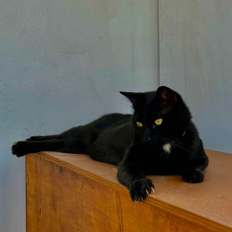 Monica💥 Trieste FVG Italy post 1