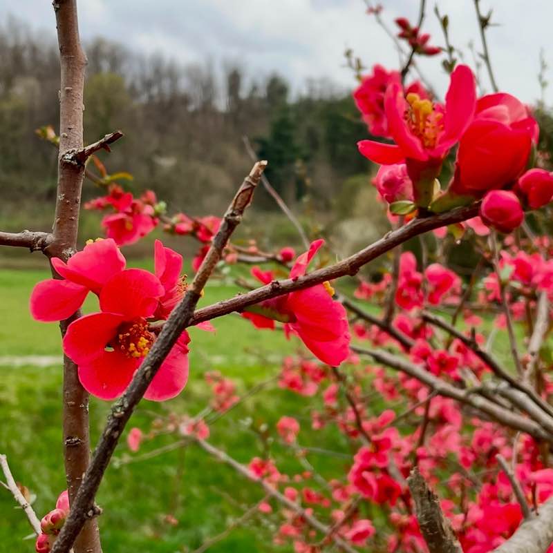 Monica💥 Trieste FVG Italy post 1