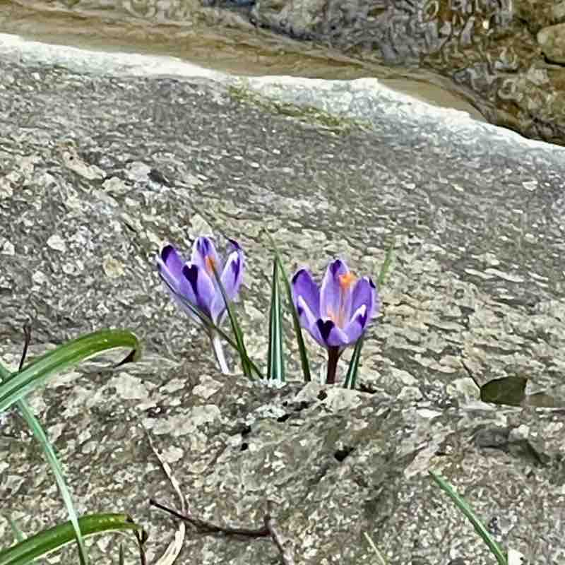 Monica💥 Trieste FVG Italy post 3