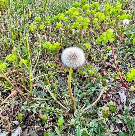 Monica💥 Trieste FVG Italy post 2