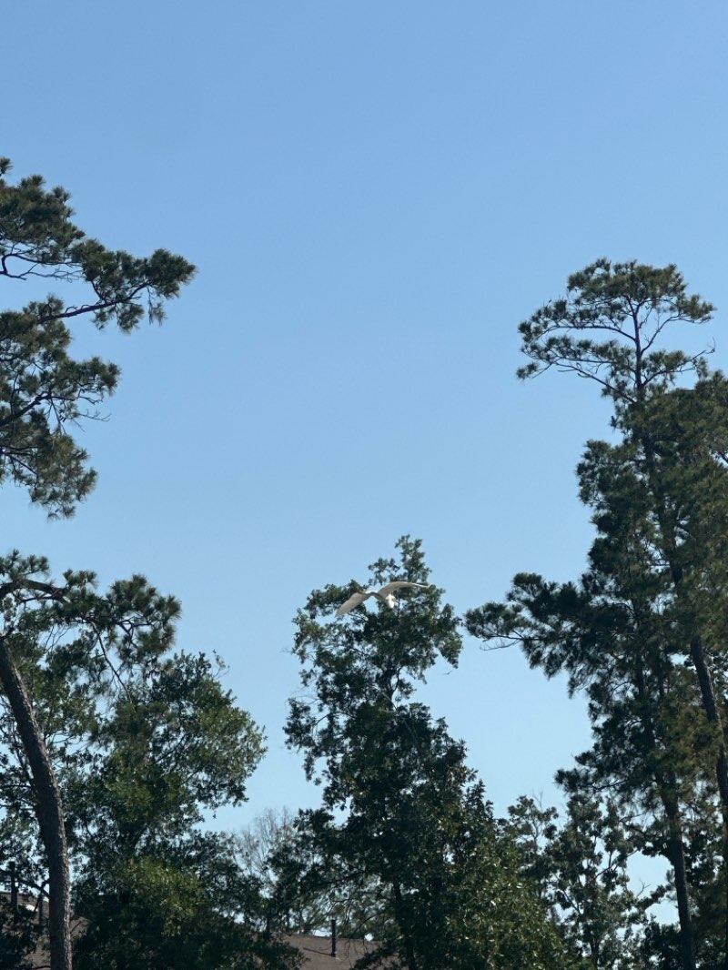 walking near me in The Field in spring