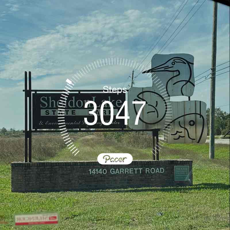 Beryl 🇩🇲 post 1