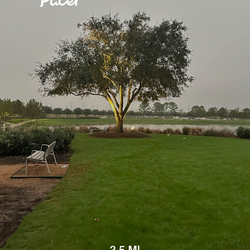 Beryl 🇩🇲 post 1