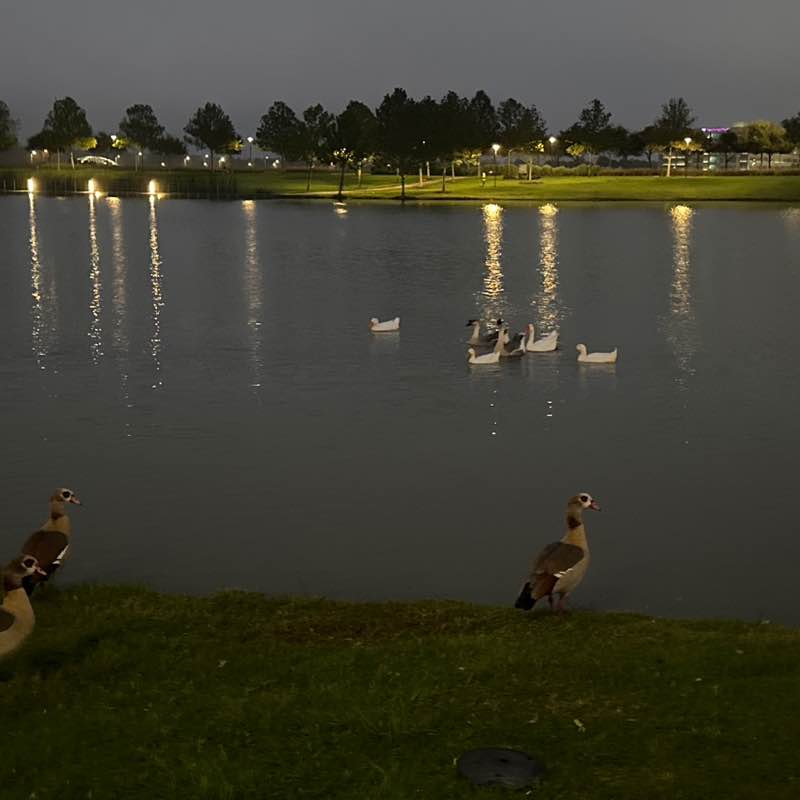 Beryl 🇩🇲 post 3