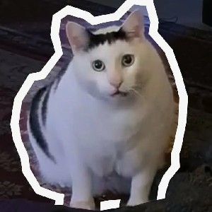 Екатерина Шматова ИД profile