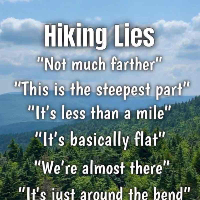 sharks Sandstorm post image