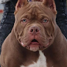 Romeu