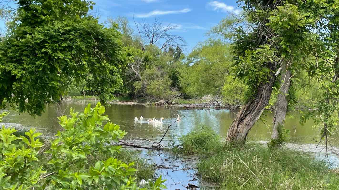 walking near me in Shady Grove Park in spring