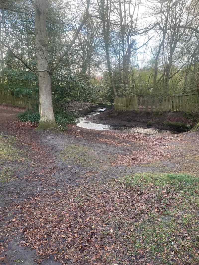 walking near me in Sutton Park in spring
