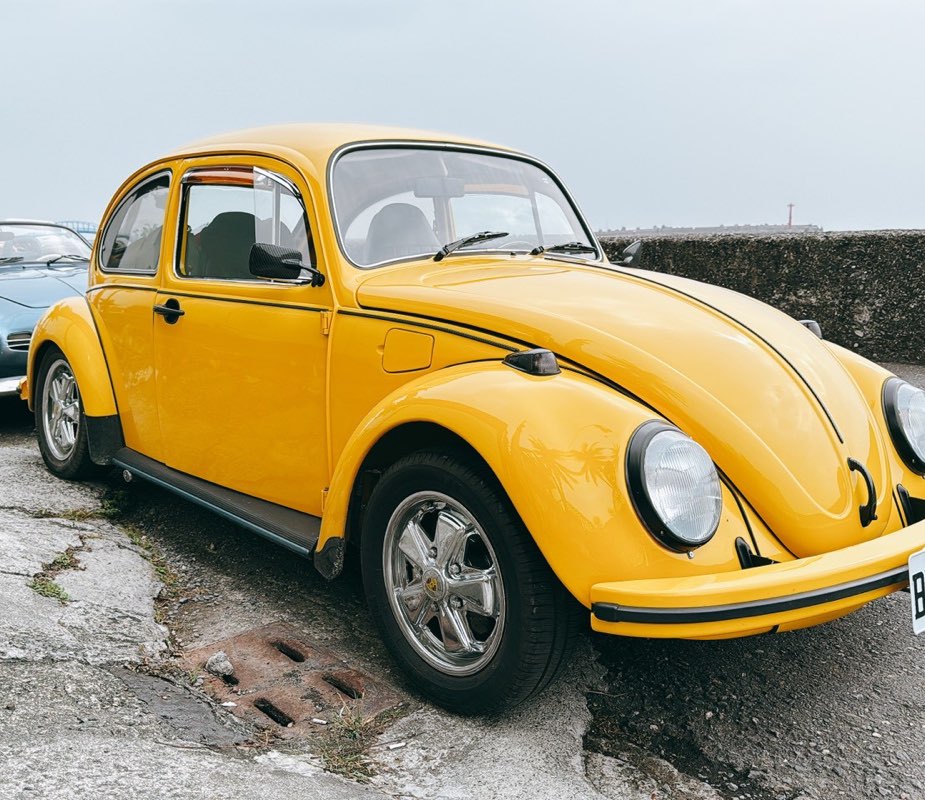 Bug1973