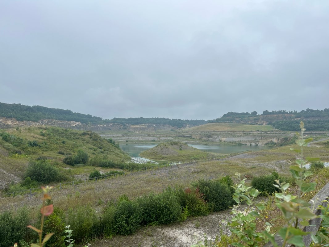walking near me in Randwyck Park in winter