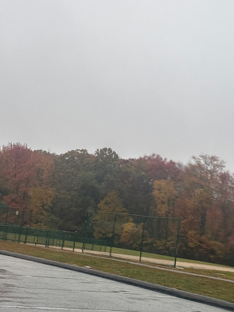 walking near me in Bonsall Park in autumn