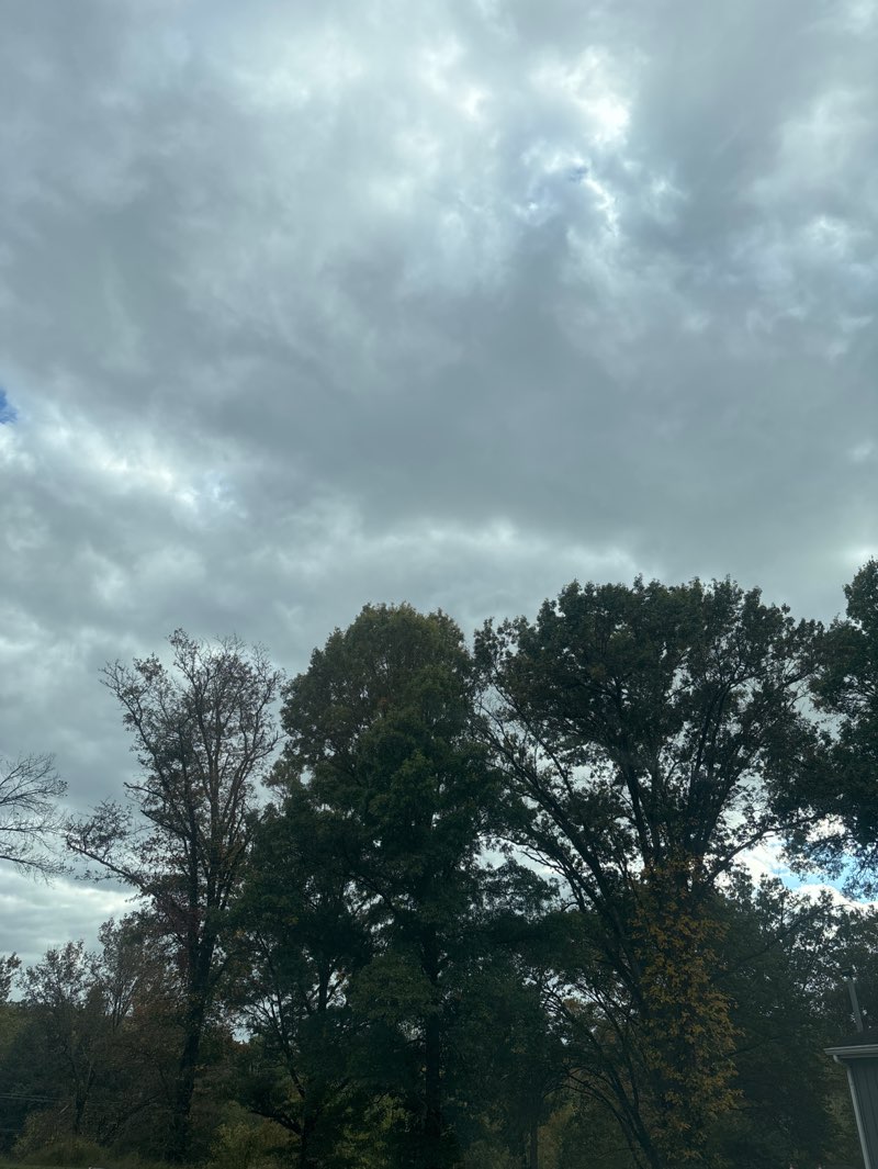 walking near me in Brandywine Battlefield Park in autumn