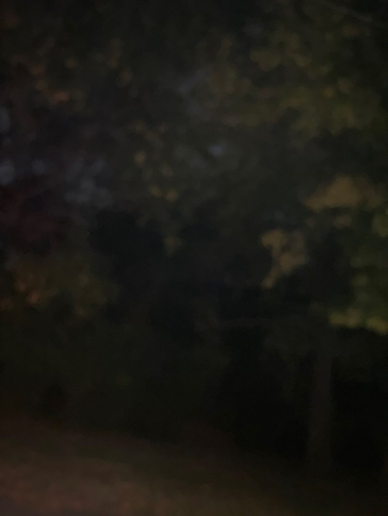 walking near me in Shellpot Park in autumn