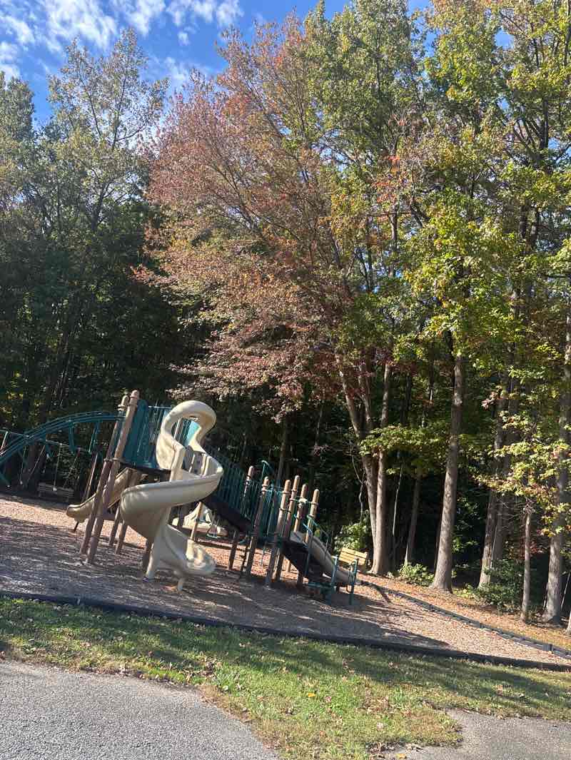 walking near me in Jack King Park in autumn