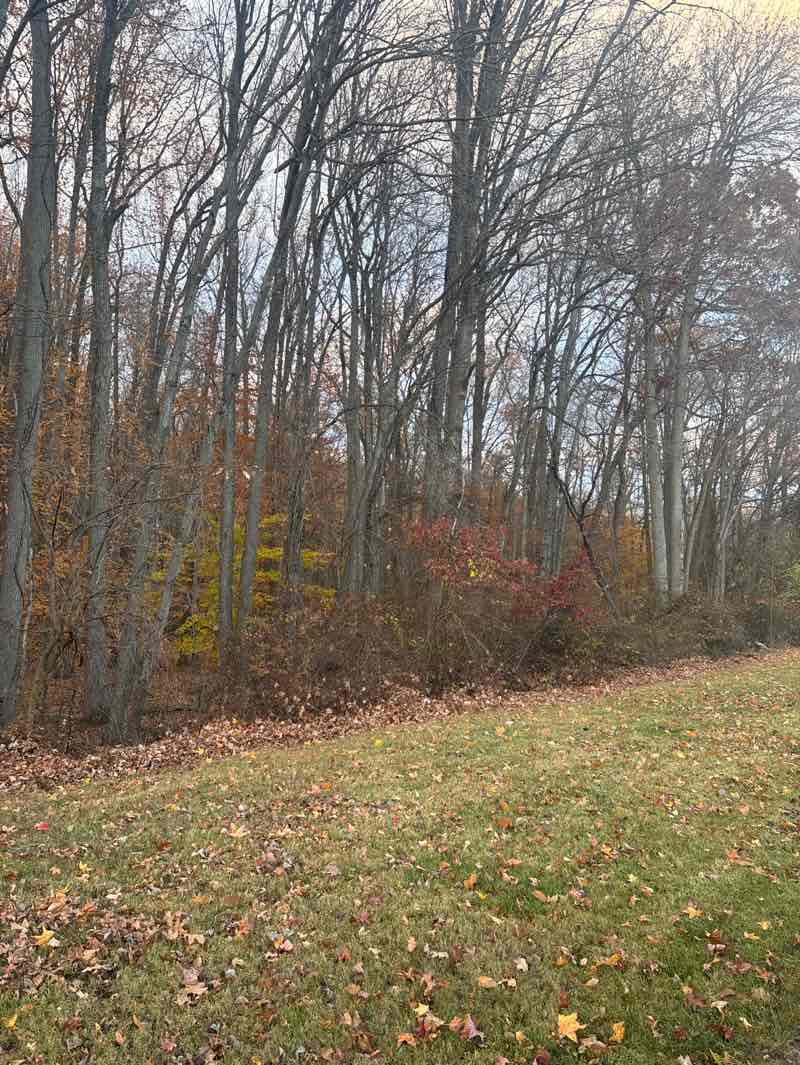 walking near me in Woodley Park in autumn