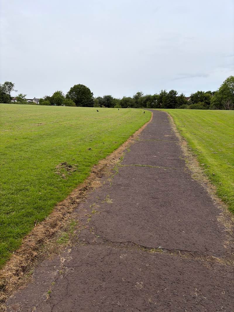 walking near me in Fairweather Park in summer