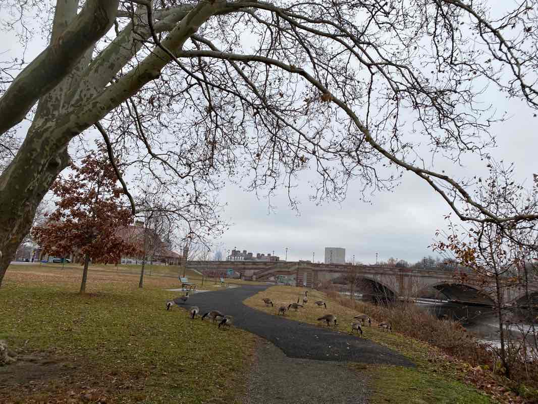 walking near me in Watertown-Cambridge Greenway in winter
