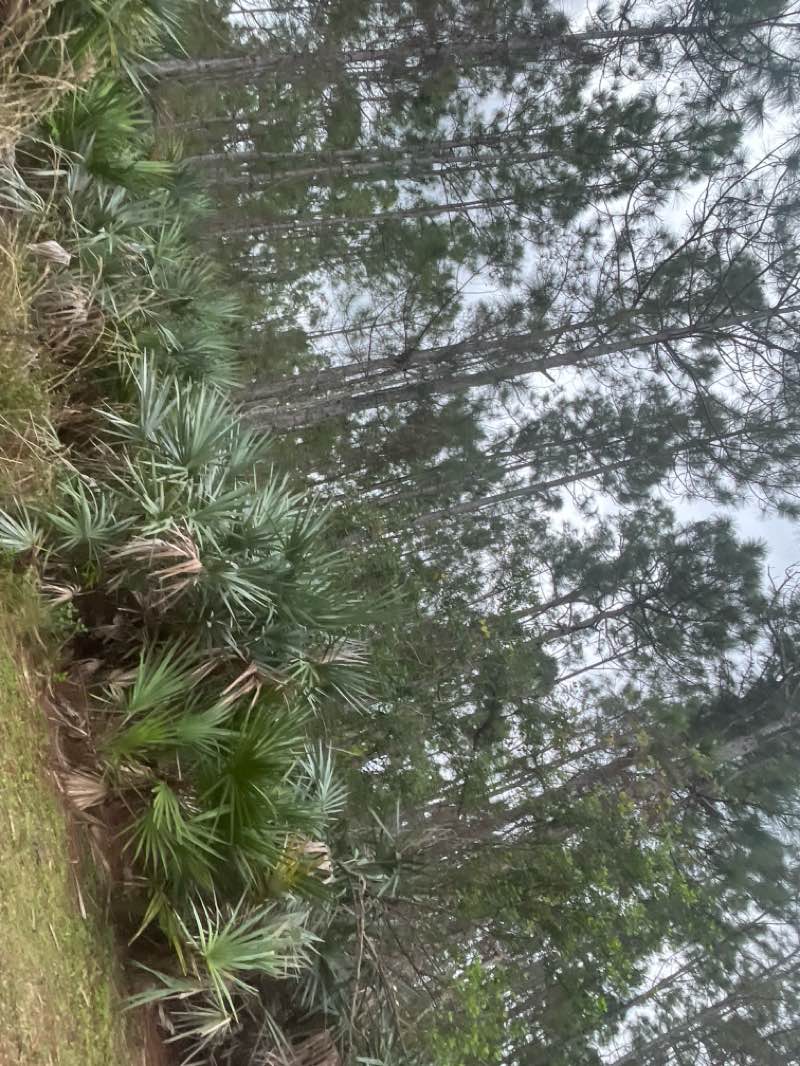 walking near me in Lakewood Regional Park in winter