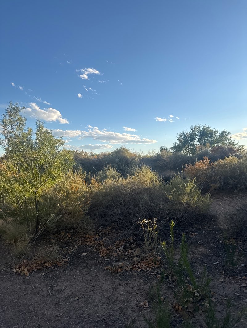 walking near me in Mariposa Basin Park in autumn