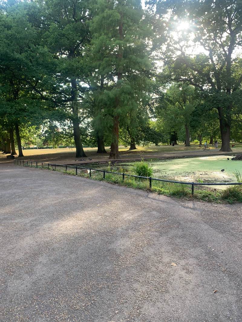 walking near me in Valentines Park in autumn