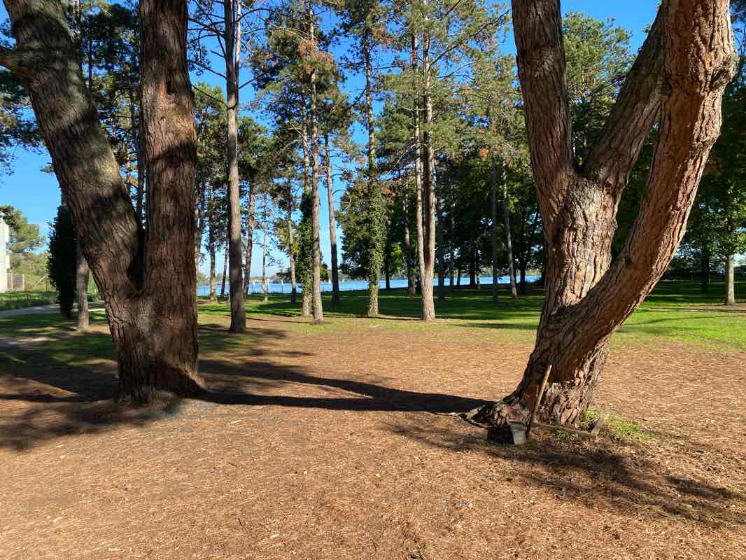 walking near me in Ligne Verte Le Bouscat - Bruges - Secteur 2 in autumn