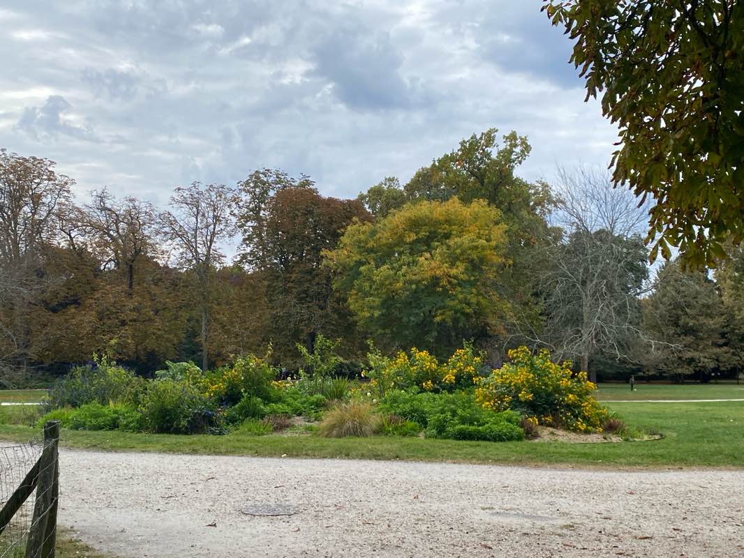 walking near me in Parc Ausone in autumn