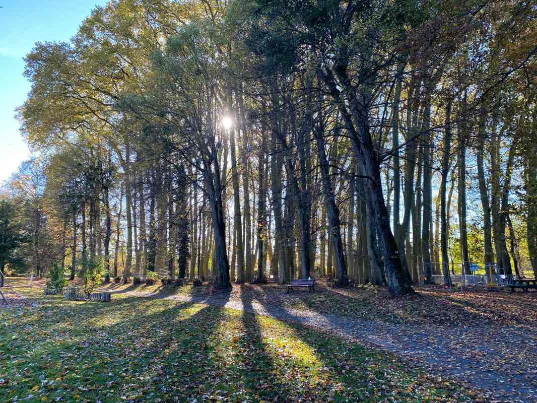 walking near me in Parc Treulon in autumn