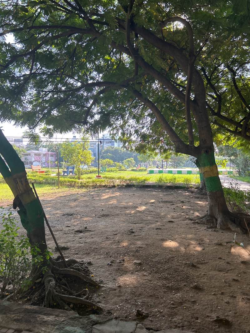 walking near me in Kammkottai park in autumn