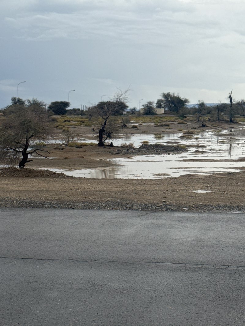 walking near me in Firqat al-Arabi in spring