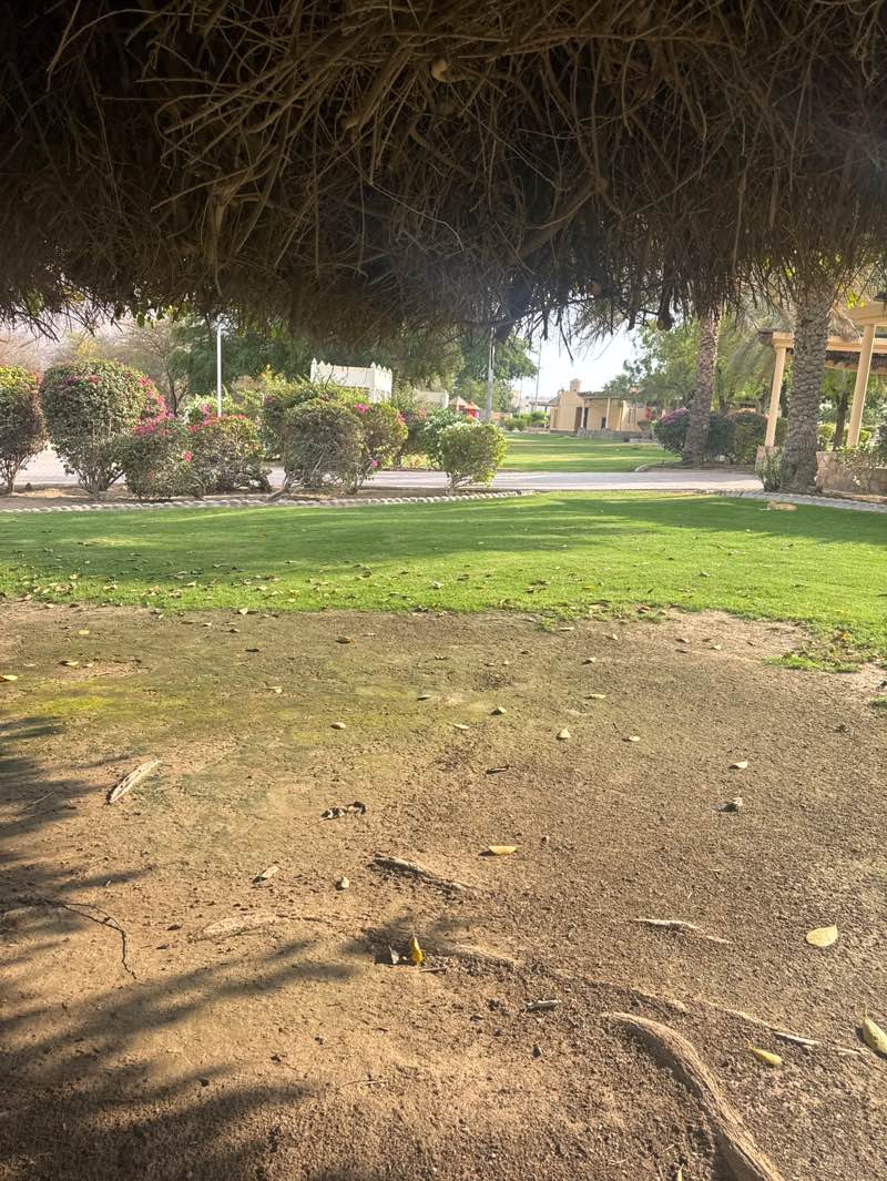 walking near me in حديقة نزوى in spring