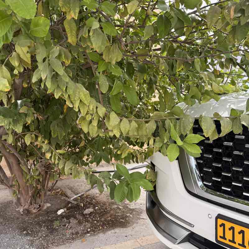 SULAIMAN AMBUSAIDI post 2