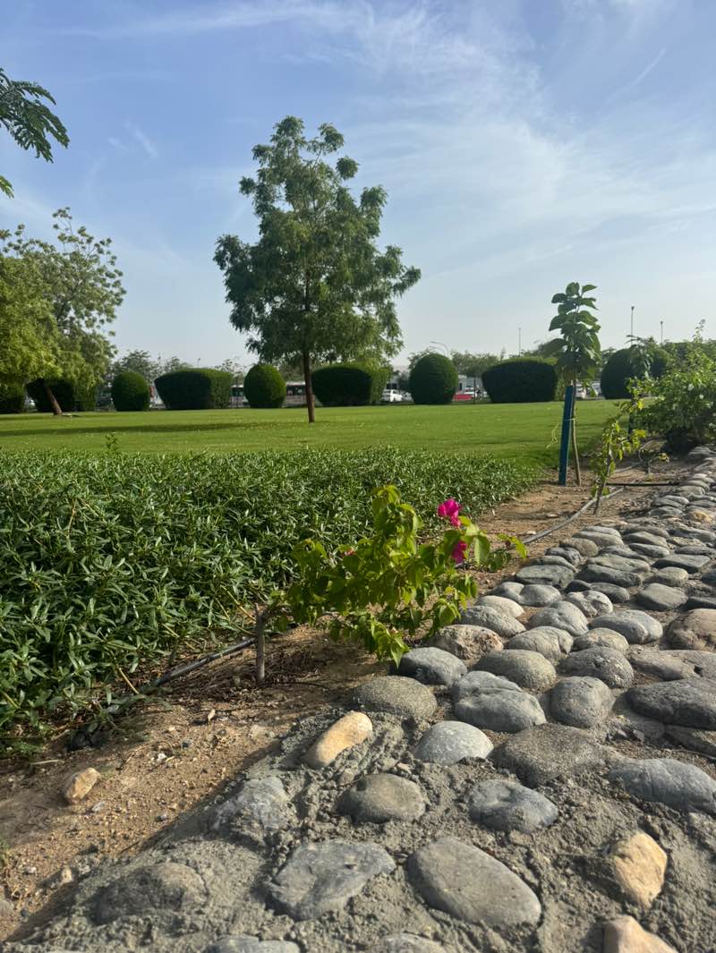 walking near me in Al Sahwa Park in spring