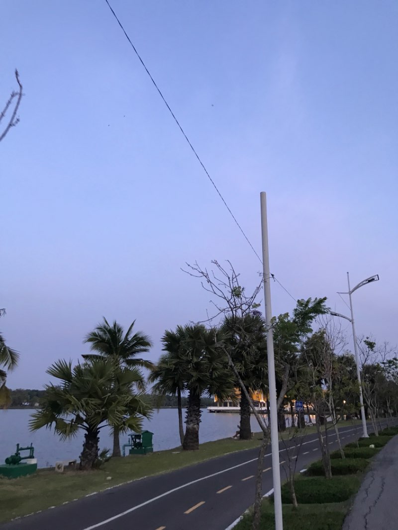 walking near me in สวนน้ำบุ่งตาหลั่วเฉลิมพระเกียรติ รัชกาลที่ 9 in winter