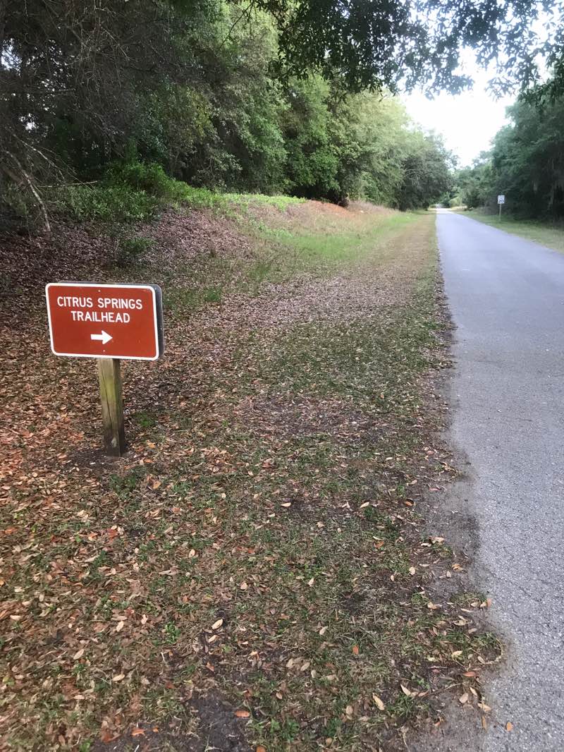 walking near me in Withlacoochee State Trail - South Citrus Springs Trailhead in spring