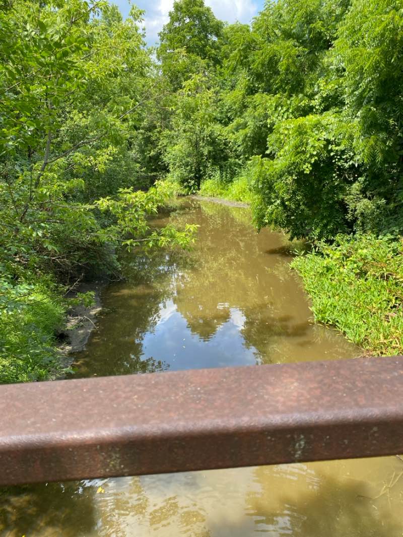 walking near me in Buffalo Creek Park in summer