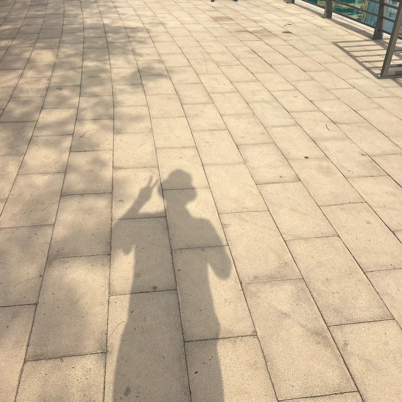 Mohammad Nadir profile