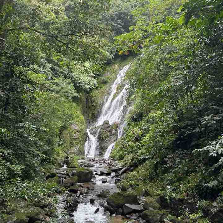 Stockholm Ismael 🍉🥑🇵🇹🇵🇹 post image