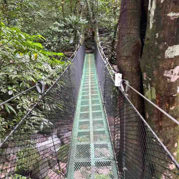 Stockholm Ismael 🍉🥑🇵🇹🇵🇹 post image