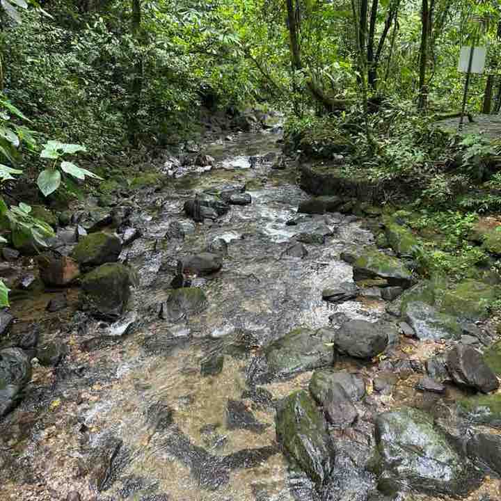 Stockholm Ismael 🍉🥑🇵🇹🇵🇹 post image